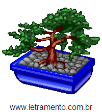 Bonsai