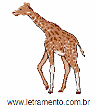 Girafa