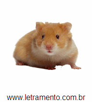 Hamster