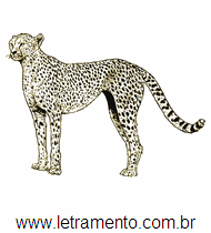 Leopardo