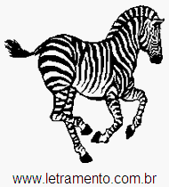 Zebra